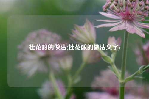 桂花酿的做法(桂花酿的做法文字)