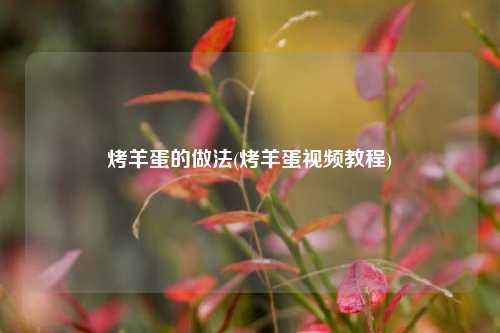 烤羊蛋的做法(烤羊蛋视频教程)
