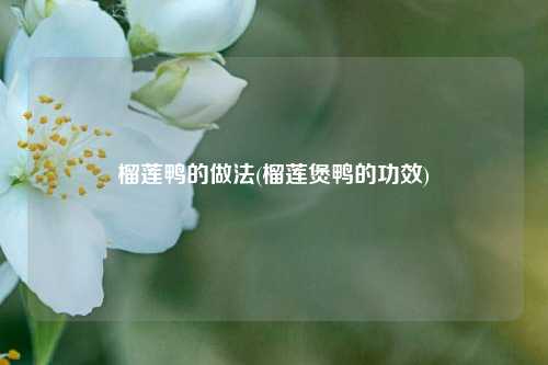 榴莲鸭的做法(榴莲煲鸭的功效)