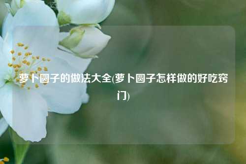 萝卜圆子的做法大全(萝卜圆子怎样做的好吃窍门)