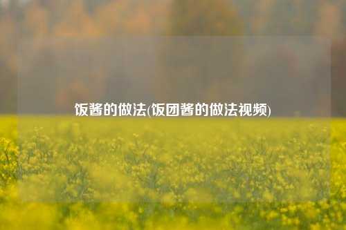 饭酱的做法(饭团酱的做法视频)