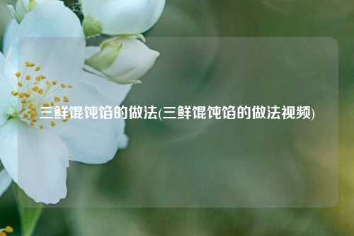 三鲜馄饨馅的做法(三鲜馄饨馅的做法视频)
