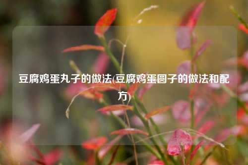 豆腐鸡蛋丸子的做法(豆腐鸡蛋圆子的做法和配方)