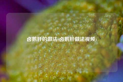 卤鹅肝的做法(卤鹅肝做法视频)