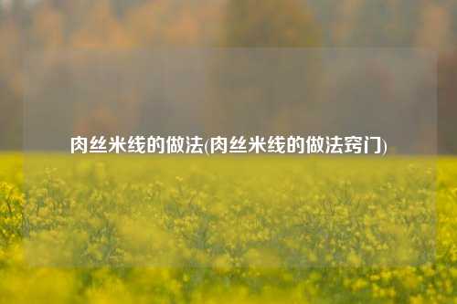 肉丝米线的做法(肉丝米线的做法窍门)